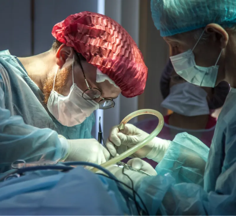Bariatric Surgeons SEO