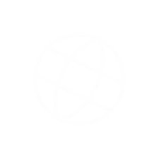 Globe Icon