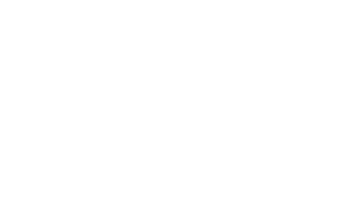 After SEO Animation
