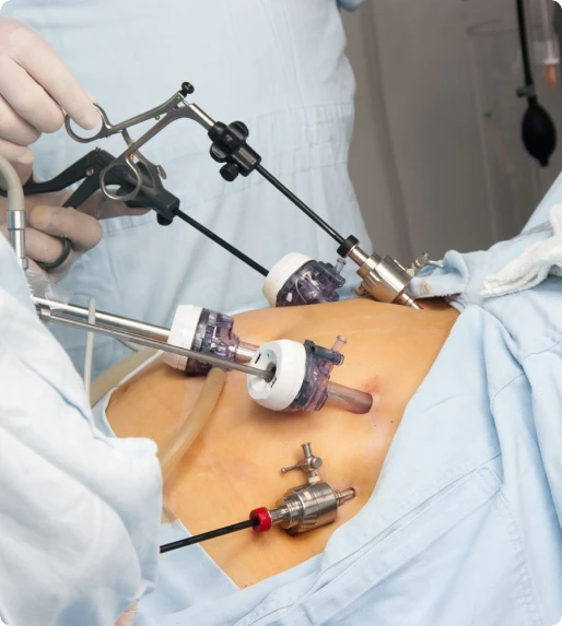 Bariatric Surgeons