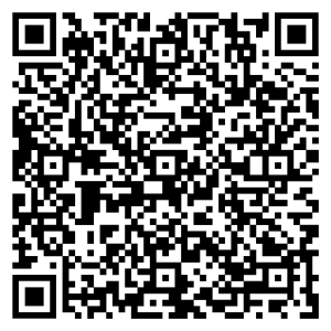 Can I Do SEO in Houston by Myself? Houston SEO Guide QR