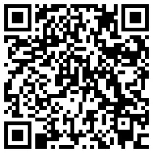 What Are the 3 Types of SEO Services in Dallas, TX?