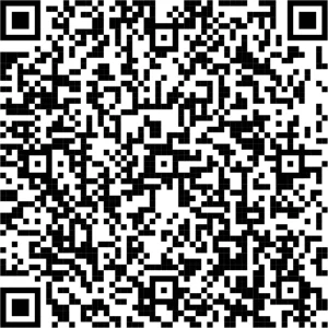 What Are the 3 Types of SEO Services in San Antonio, TX QR