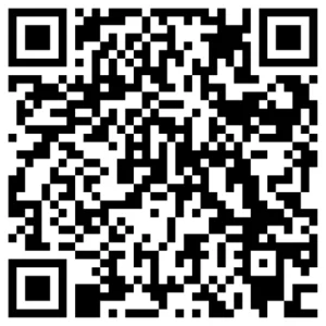 What Do SEO Companies Actually Do in Austin, TX?
