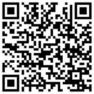 What is an SEO Service in Austin, TX QR