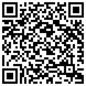 What is an SEO Service in Dallas, TX?