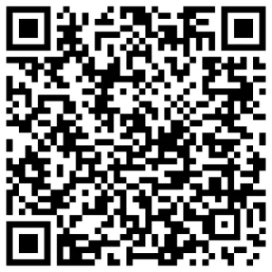 What is an SEO Service in Fort Worth, TX QR