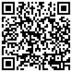 What Are the 3 Types of SEO Services in Fort Worth, TX QR