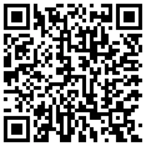 What Do SEO Companies Actually Do in Dallas, TX?