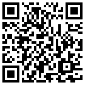 What is a Houston SEO Service QR