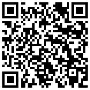 What is the Success Rate of SEO in San Antonio, TX?