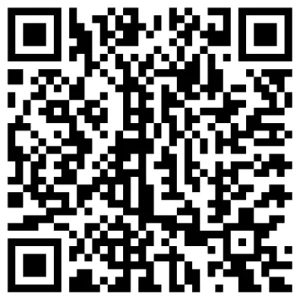 What Are the Different Types of Internet Marketing in Dallas QR