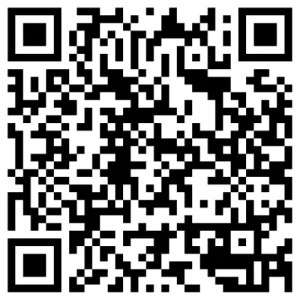 What Are the Different Types of Internet Marketing in San Antonio QR