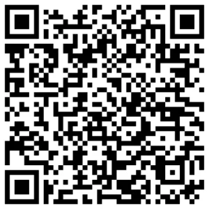 What Does an SEO Company Actually Do in San Antonio, TX QR